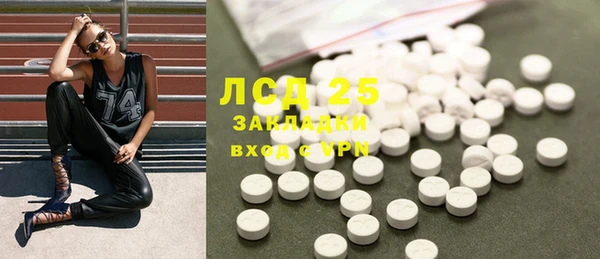 гашик Алексин