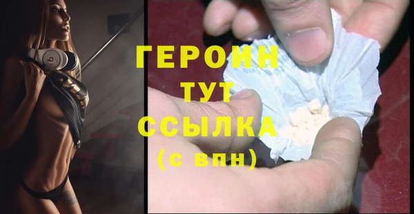 гашик Алексин