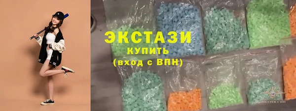 гашик Алексин