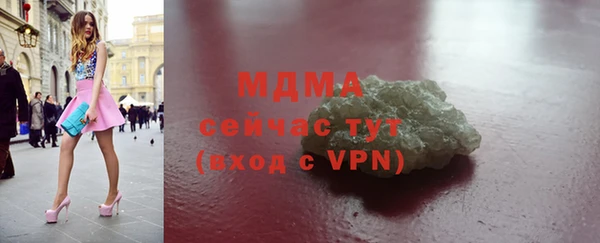 гашик Алексин