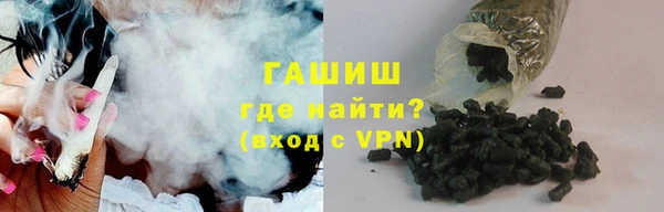 гашик Алексин