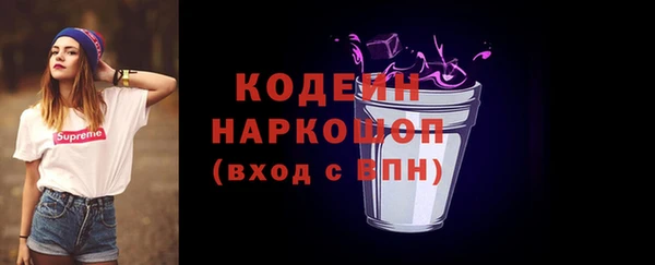 гашик Алексин