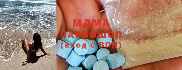 гашик Алексин