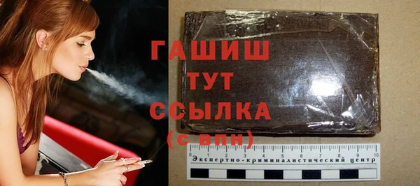 гашик Алексин