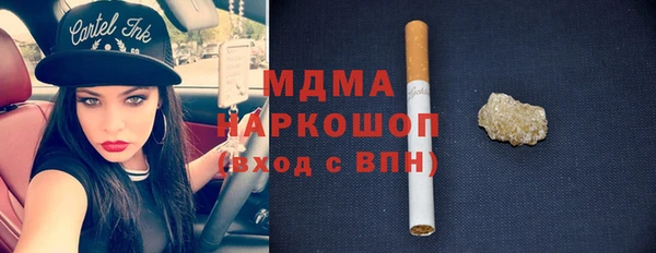 гашик Алексин